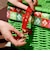 LUSH ラッシュ アドベントカレンダー ギフトセット クリスマス 数量限定 プレゼント バスボム バブルバー 入浴剤 保湿 贅沢 贈り物 記念日 ラッシュ 公式