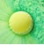 LUSH 頭の深呼吸 バスボム 入浴剤 数量限定 ギフト プレゼント お風呂 保湿 ミント ユーカリ レモン 香り 爽快 リフレッシュ 癒やし 贈り物 ラッシュ 公式