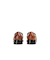 BITT