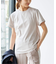 《追加2》ファインコットンTシャツ