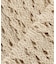 CONLEAD / コンリード LACE SHORT