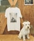 LEGAL COFFEE × Spick DOG Tee