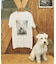 LEGAL COFFEE × Spick DOG Tee
