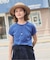 a&m コンパクトボーダーTEE