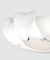 JAMIRAY / ジャミレイ TWIST SHELL BROOCH