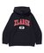 COLLEGE LOGO KNIT PULLOVER HOODIE
