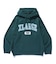 COLLEGE LOGO KNIT PULLOVER HOODIE