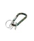 STANDARD LOGO KEYRING CARABINER