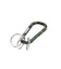 STANDARD LOGO KEYRING CARABINER