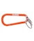 STANDARD LOGO KEYRING CARABINER