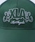 XLA MESH CAP