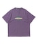 PIGMENT DYED STONE MONUMENT S/S TEE
