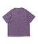 PIGMENT DYED STONE MONUMENT S/S TEE