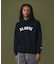 ARCH LOGO PULLOVER HOODED SWEATSHIRT