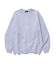 COLLEGE LOGO CREWNECK SWEATSHIRT