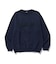 CHENILLE LOGO CREWNECK SWEATSHIRT