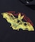 ECHOLOCATION HOODED SWEATSHIRT