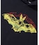 ECHOLOCATION HOODED SWEATSHIRT