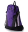 PANELED DAYPACK