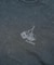 MONKEY WRENCHERS S/S TEE