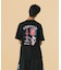 FOUNTAIN OF TRUTH S/S TEE