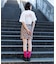 APPLE GIRL SHEER SKIRT