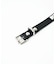 STUDDED BELT