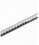 STUDDED BELT