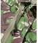 CAMOUFLAGE JACKET