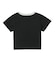 STAR CAMO LOGO S/S CROPPED TEE