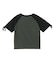 HIBISCUS OVAL LOGO RAGLAN BABY TEE