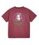 FADED TRI-COLOR FACE S/S TEE