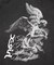 FADED SKATE ANGEL S/S TEE