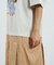 REGIMENTAL STRIPE SKIRT GRAPHIC DRESS