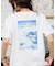 シロクマTシャツ