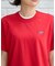 星条旗ベアTシャツ
