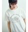 スラブロゴプリントアソートTシャツ