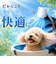 【PET THREE】クリップファン　風量100段階切替