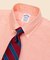 スーピマコットン オックスフォード ドレスシャツ Regular Fit