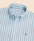 ラグジュアリー　オックスフォード　トラックストライプ　GFロゴ　カジュアルシャツ　Regular Fit
