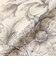 【婦人画報4月号掲載】【BIBURY FLOWER】エッチングバイブリーワンピース