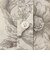 【L】【BIBURY FLOWER】エッチングバイブリーブラウス
