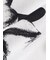 "Monochrome Daisy" 半袖Tシャツ