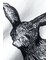 "Rabbit" 半袖シャツ