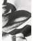 "Monochrome Daisy" 半袖シャツ