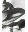 "Monochrome Daisy" 半袖シャツ