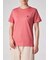 ウィメンズ シーズンカラーゼブラ 半袖Tシャツ