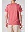ウィメンズ シーズンカラーゼブラ 半袖Tシャツ