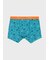 "Embroidered Beach Scene" ボクサーパンツ