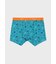 "Embroidered Beach Scene" ボクサーパンツ